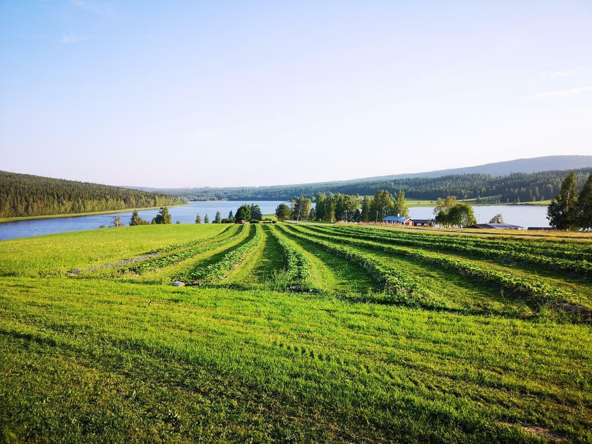 Villa Skatauddens Lantgard Älvsbyn Esterno foto