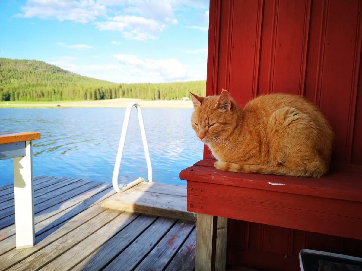 Villa Skatauddens Lantgard Älvsbyn Esterno foto